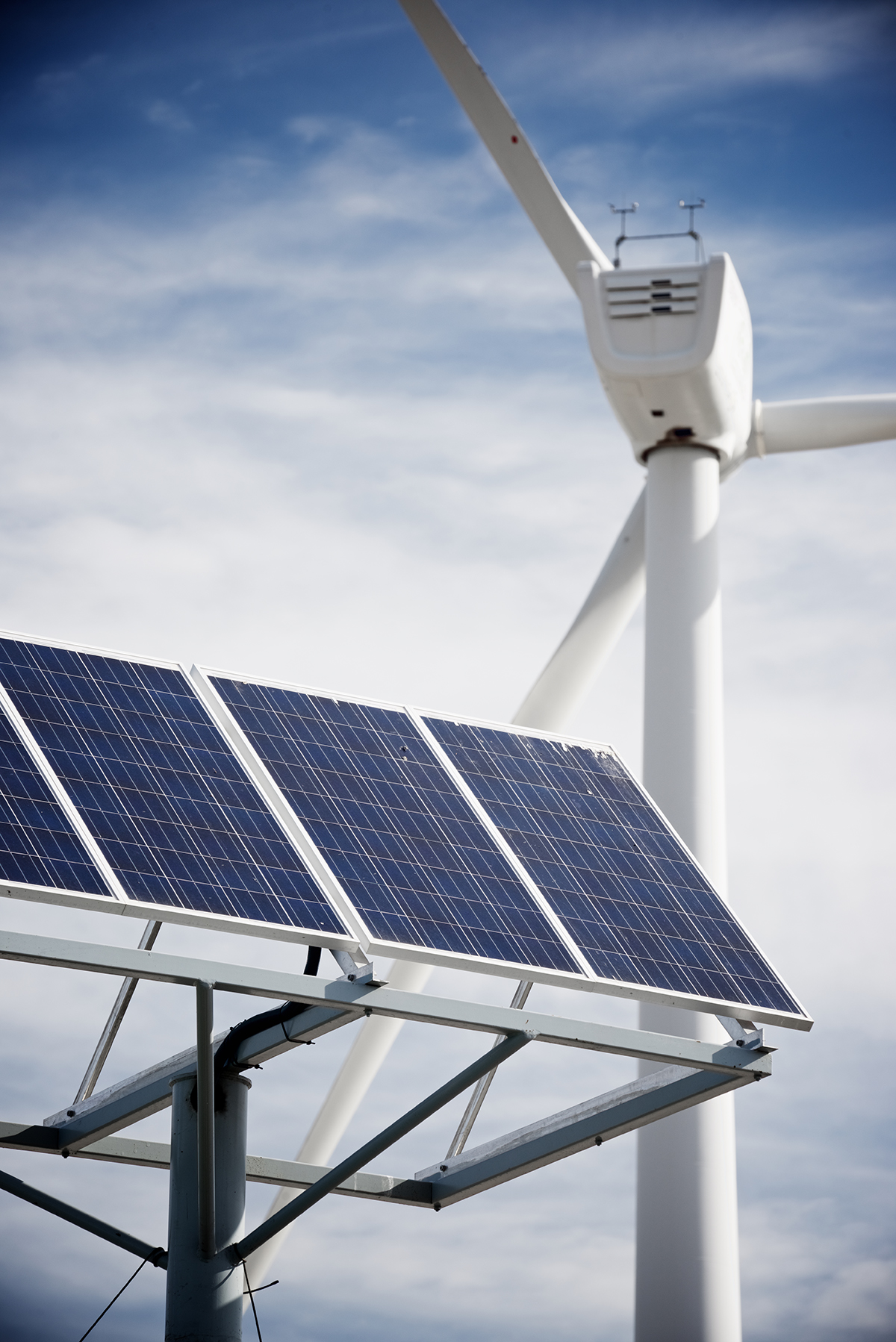 Wind turbine and solar panels